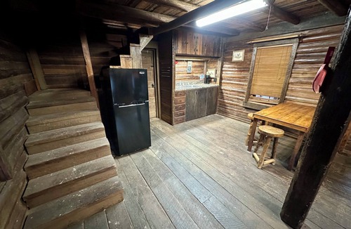 Douglas Cabin | 1880 Lake front Log Cabin with Game room and Boat!