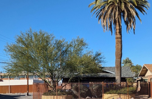 Feldman's House | 2 Bedroom home in Tucson's City Center