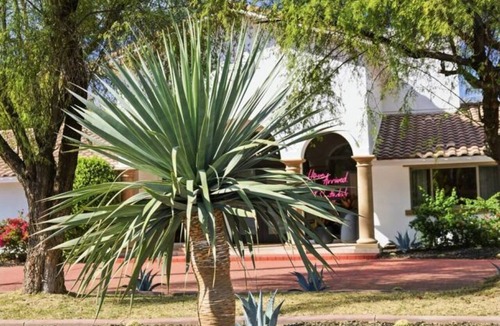 Paradise Valley Village House | 2 Homes in 1 Pickleball Court & Hidden Speakeasy