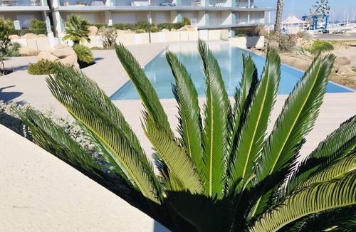 Solenzara Apartment | 3-bedroom apartment in luxury beachfront residence with pool