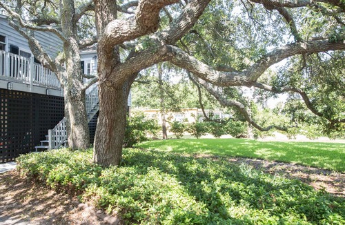 Isle of Palms House | 3 BR, 2 BA Charming Elevated House - 1 Block to Beach! Large Screened Porch!