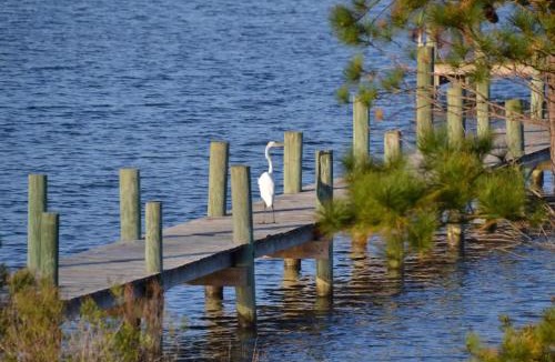Smyrna House | 3BR Cottage Waterfront Wade Creek Fishing Boating