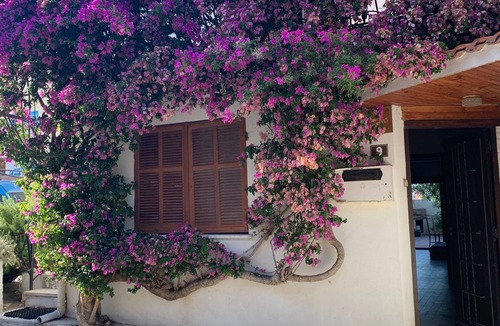 Algajola Apartment | 60 meters from the sea with a large terrace