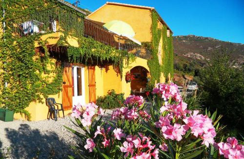 Castirla House | A Pianella