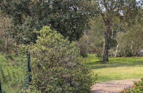 Santa Giulia Apartment | Accommodation close to Santa Giulia beach and Palombaggia