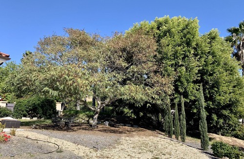 Covenant Cottage | Adorable 2 Bedroom Guest House, 12 minutes from beach, 7 minutes from shopping