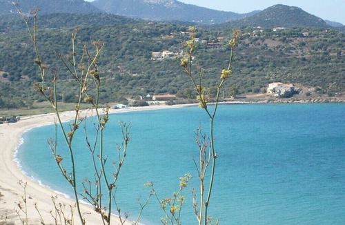 Lozari Apartment | Air-conditioned 5-bed apartment on Lozari beach 7 km from Ile-Rousse