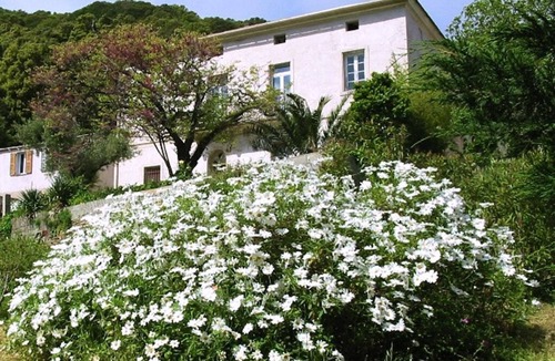 Ersa Apartment | Apartment in a manor house at Corsican Cape