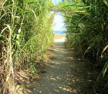Poggio-Mezzana Apartment | Apartment with Garden - Two Pools - Beach Access