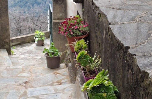 Campana House | Appartement au Pied du San Petrone, en Plein Cœur de la Castagniccia