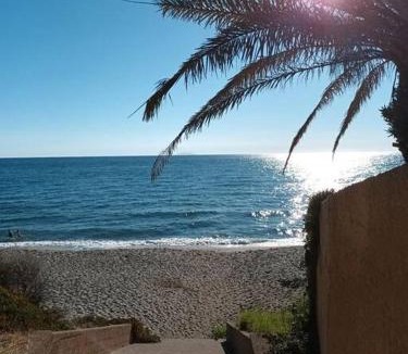 Bravone Apartment | Appartement de vacances Marine de Bravone - Corse