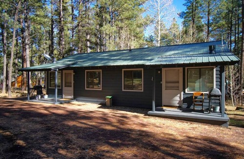 Greer Cabin | Aspen Cabin 1