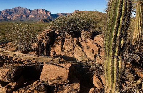 Entrada Del Oro House | AT THE BASE OF THE SUPERSTITION MOUNTAINS. 3-6 MONTH MINIMUM STAY