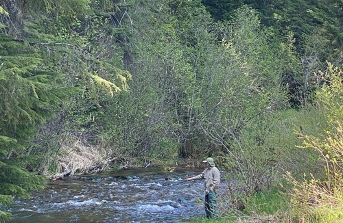 Kellogg RV Rental | Back Country Getaway. Complete 30/50 RV Site.