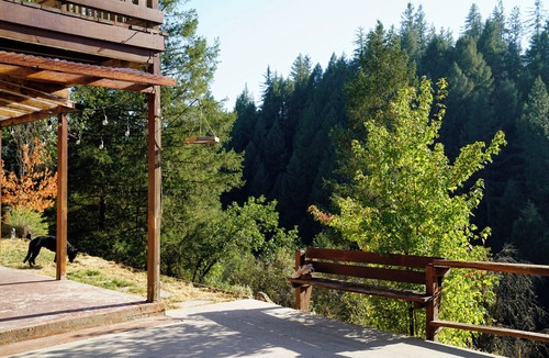 Cedar Ridge House | Barn Haus by the Creek. Dog Friendly!
