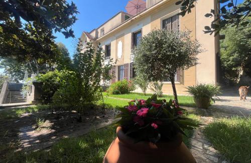 Cardo Apartment | Bastia, appartement ds villa de caractère avec piscine, jacuzzi et vue mer