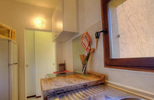 Valpaja House | Birds of Paradise