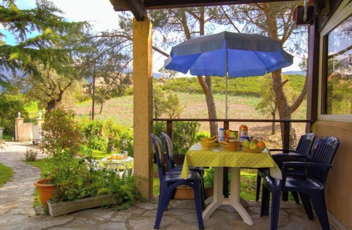 Valpaja House | Birds of Paradise