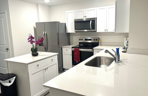 Northeast Raleigh House | Brand new luxurious home with free unlimited massage in Raleigh