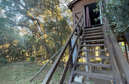 Sisco Cabin | Cabane perchée Casa Luna - Cap Corse - Domaine 1001 nuits