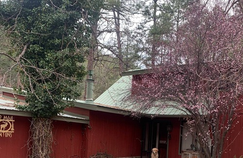Kohls Ranch House | Cabin overlooking Tonto Creek across from Tonto National Forest