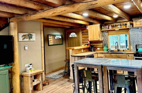 Island Park Cabin | Cabin Trailer Parking *HOT TUB*dog friendly, EV