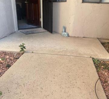 Village Two House | Cactus Flower