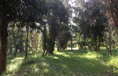 Appietto Other | Camping du Soleil