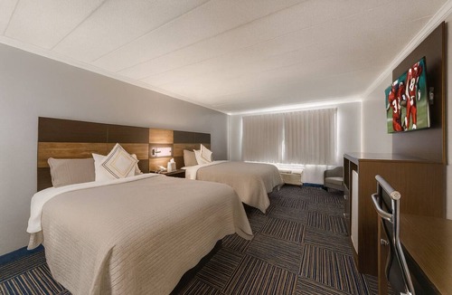Teaticket Hotel | Cape Cod Charm on a Budget – 2 Pet-friendly Rooms Near Beach, Ferry & Dining