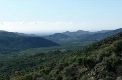 Lama Apartment | Casa Costa. LAMA. Durable and reasoned. Studio, terrace above the olive trees,