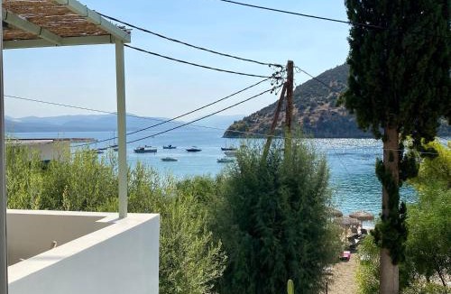 Tolo Villa | Casa olive
