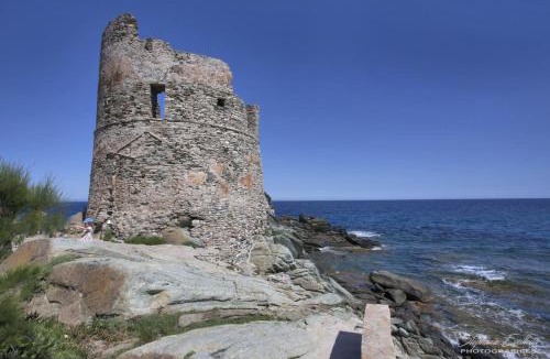 Erbalunga Apartment | Casa Torra d'Erbalunga