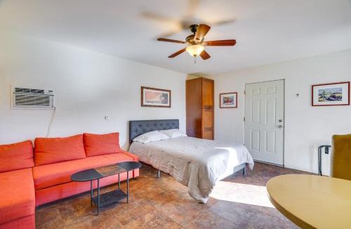 Palo Verde Apartment | Casita Near Tucson Botanical Gardens: Shared Yard!