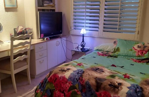 Paradise House | CATmosphere 2