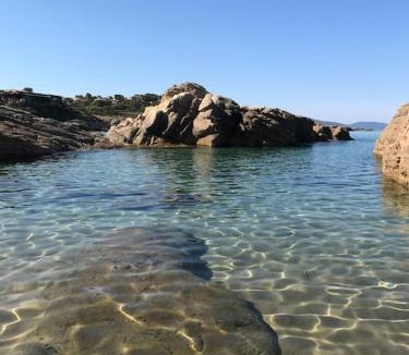 Vico Ski Chalet | Chalet au calme à Sagone en Corse