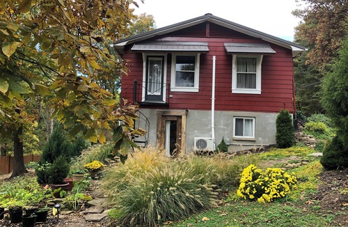 Nitro Apartment | Charming 1 bedroom near Charleston hospitals