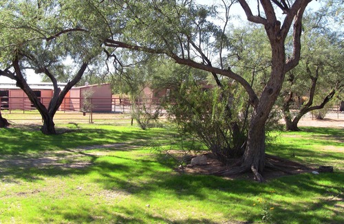 Catalina Ranch Estates Apartment | Charming Large Guest Suite in Tanque Verde Valley