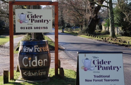 Martin Apartment | Charming New Forest Escape Near Forest Walks & Coast