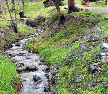 Big Bar House | Charming, Pet-friendly Glamping Vacation Rental in Northern California