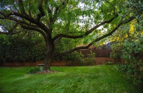 Redding Apartment | Charming Studio. Private/Quiet Equipped for Traveling Professionals.
