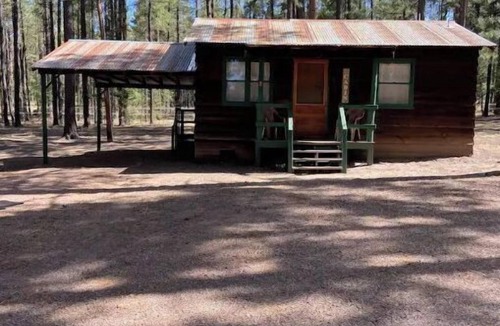 Alpine Cabin | Cheerful cozy cabin in the tall pines Alpine AZ #3