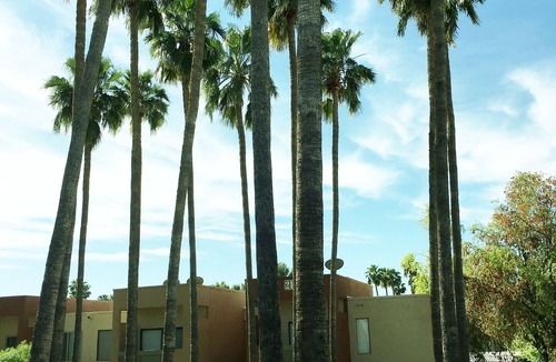 South Scottsdale Condo | Close to Old Town - golf next door, heated pool, gym; dogs ok