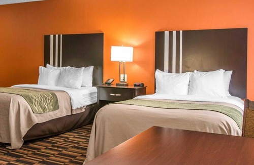 Maumee Hotel | Comfort Inn Maumee - Perrysburg Area