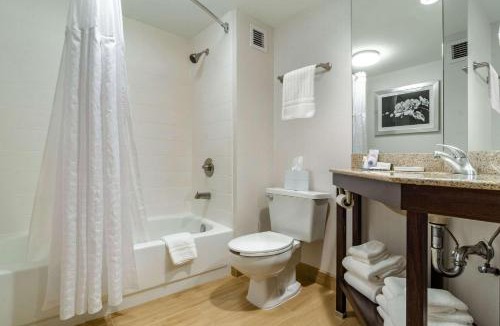 Raleigh Hotel | Comfort Inn Raleigh Midtown