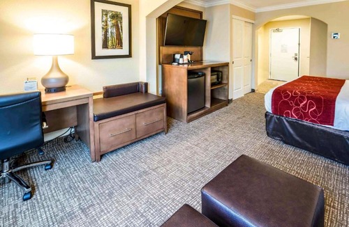Raisin Hotel | Comfort Suites Fresno River Park