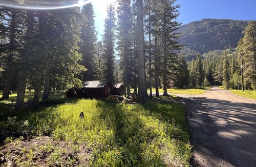 Cooke City-Silver Gate Cabin | Comfortable Cabin next to Yellowstone National Park