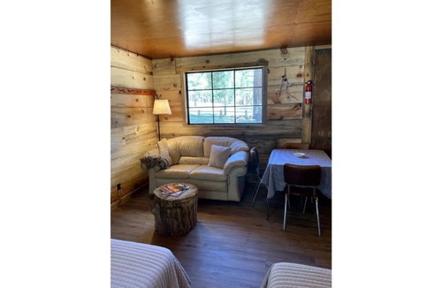 Alpine Cabin | Comfy Cozy Cabin in the tall pines of Alpine AZ #1