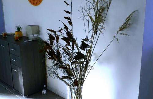 Bravone Apartment | corse location