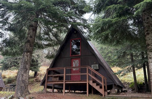 Lowell Cabin | Cozy 1-bedroom cabin in gorgeous Kooskia with AC