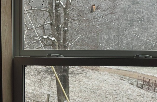 Frenchburg Cabin | Cozy 2-bedroom Antique Cabin Red River Gorge on 200 acres.